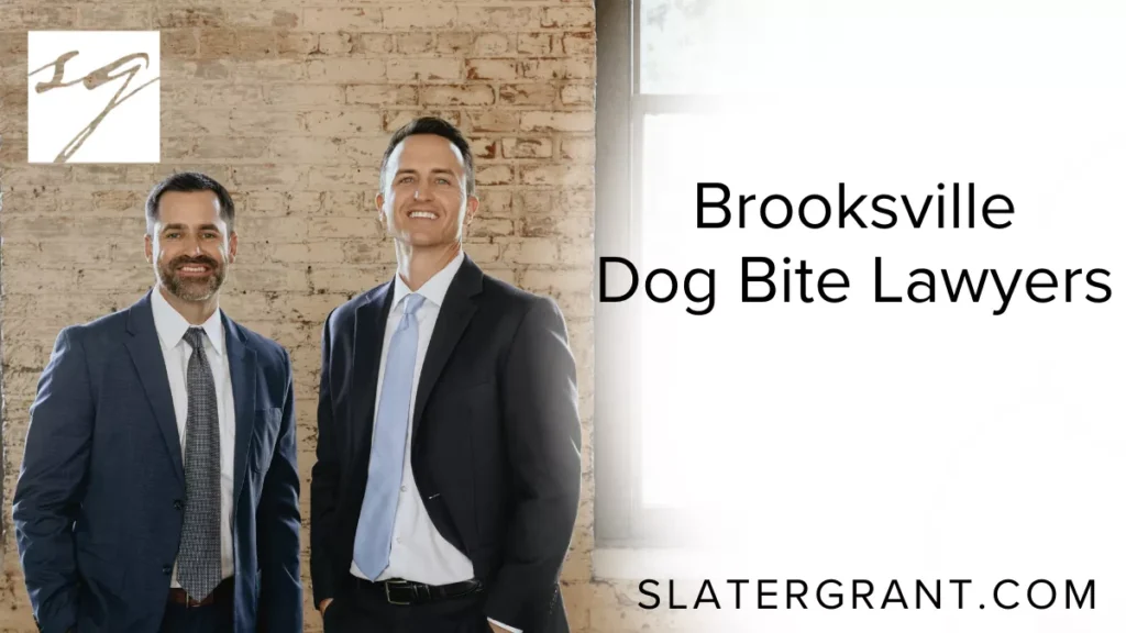At Slater | Grant, our Brooksville dog bite lawyers are dedicated to providing aggressive, results-driven legal representation for dog bite victims. If you or a loved one has been attacked or injured by a dog in Brooksville or Hernando County, you may be entitled to significant compensation. Our experienced attorneys understand Florida’s dog bite laws and will fight to hold negligent dog owners accountable.